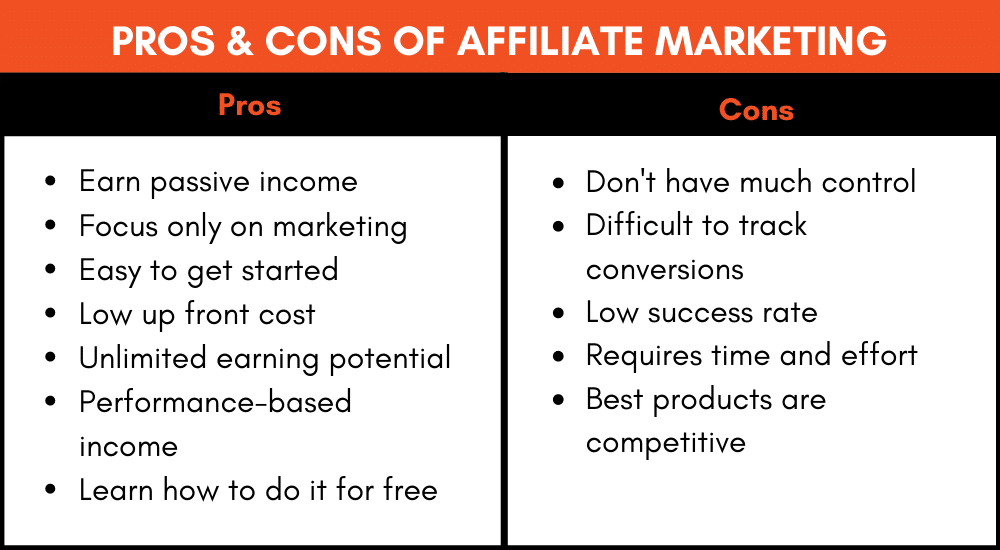 Pros and Cons of the Skylum Affiliate Program