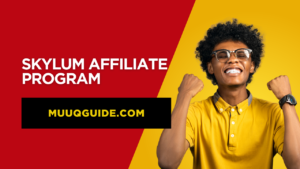 Skylum Affiliate Program